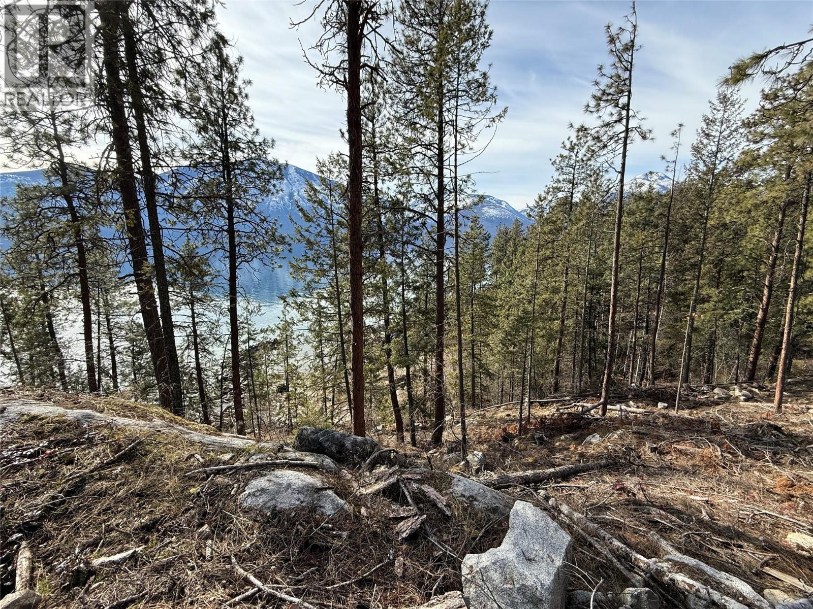 9779 3A Highway Unit# C, Kuskanook