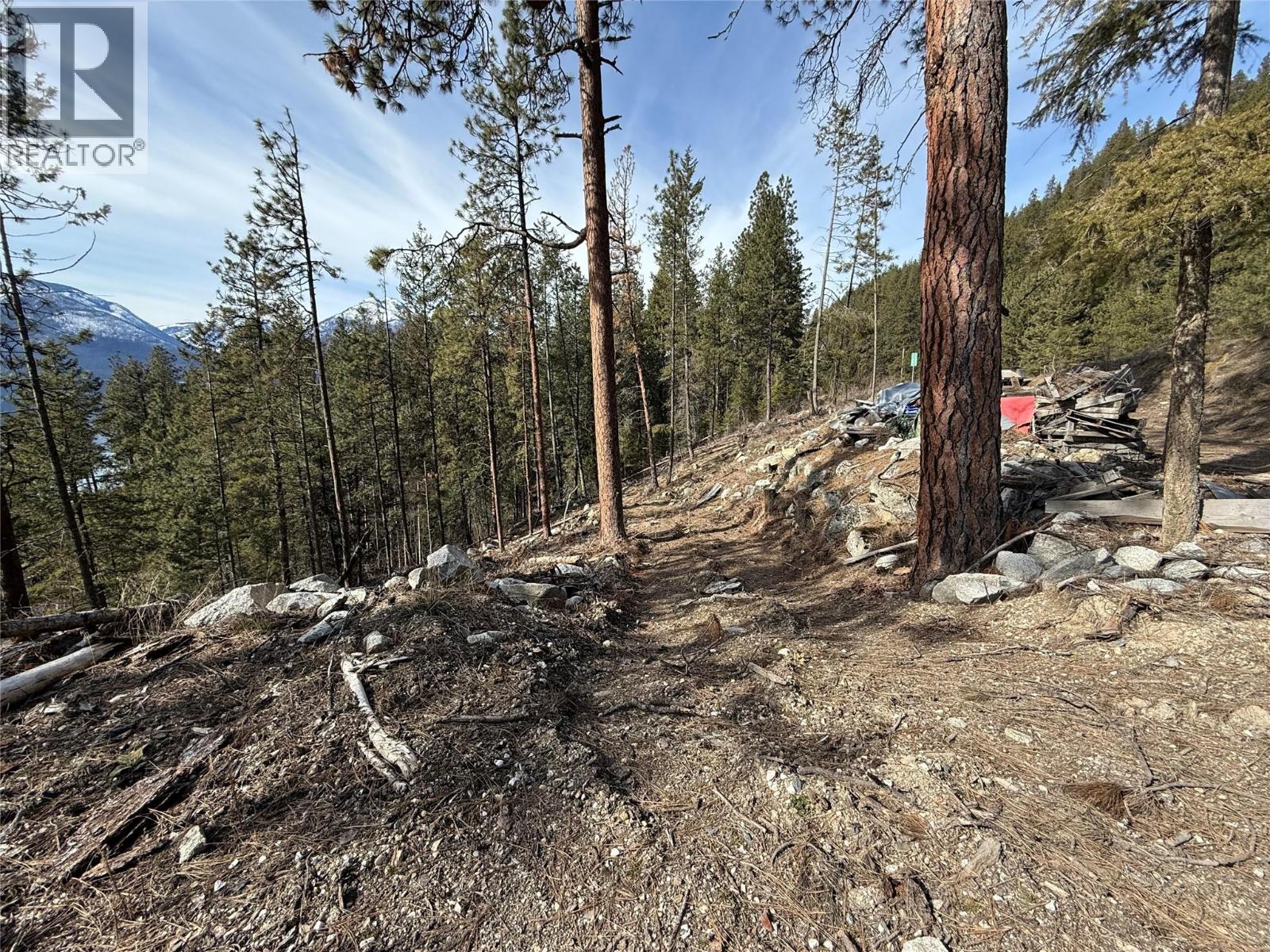 9779 3A Highway Unit# B, Kuskanook