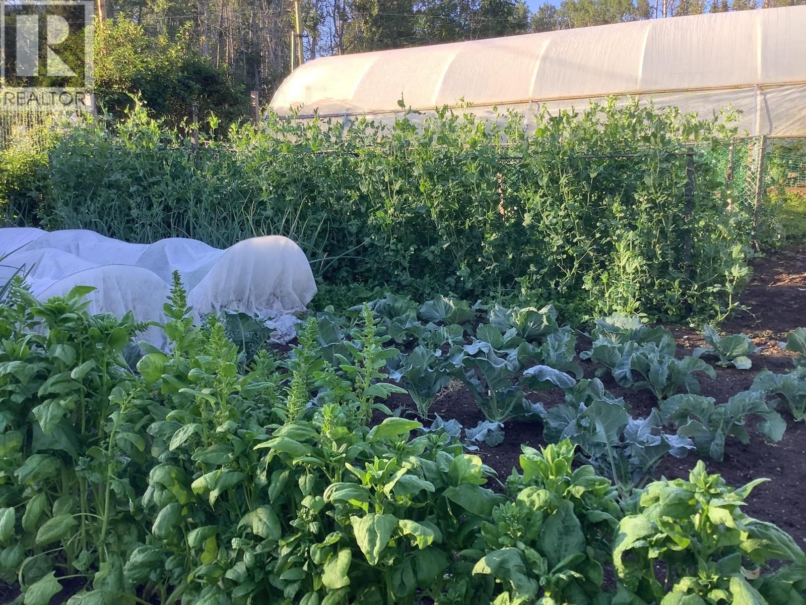 9312 BLUFF Road, Telkwa