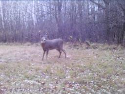 0 Bell Road, St Andrews, MB X0X0X0 Photo 7