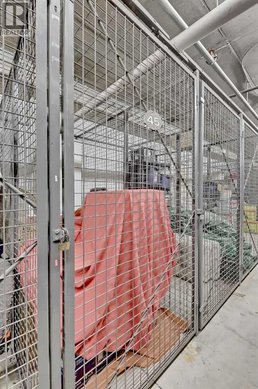 #226 69 SPRINGBOROUGH COURT SW - 28