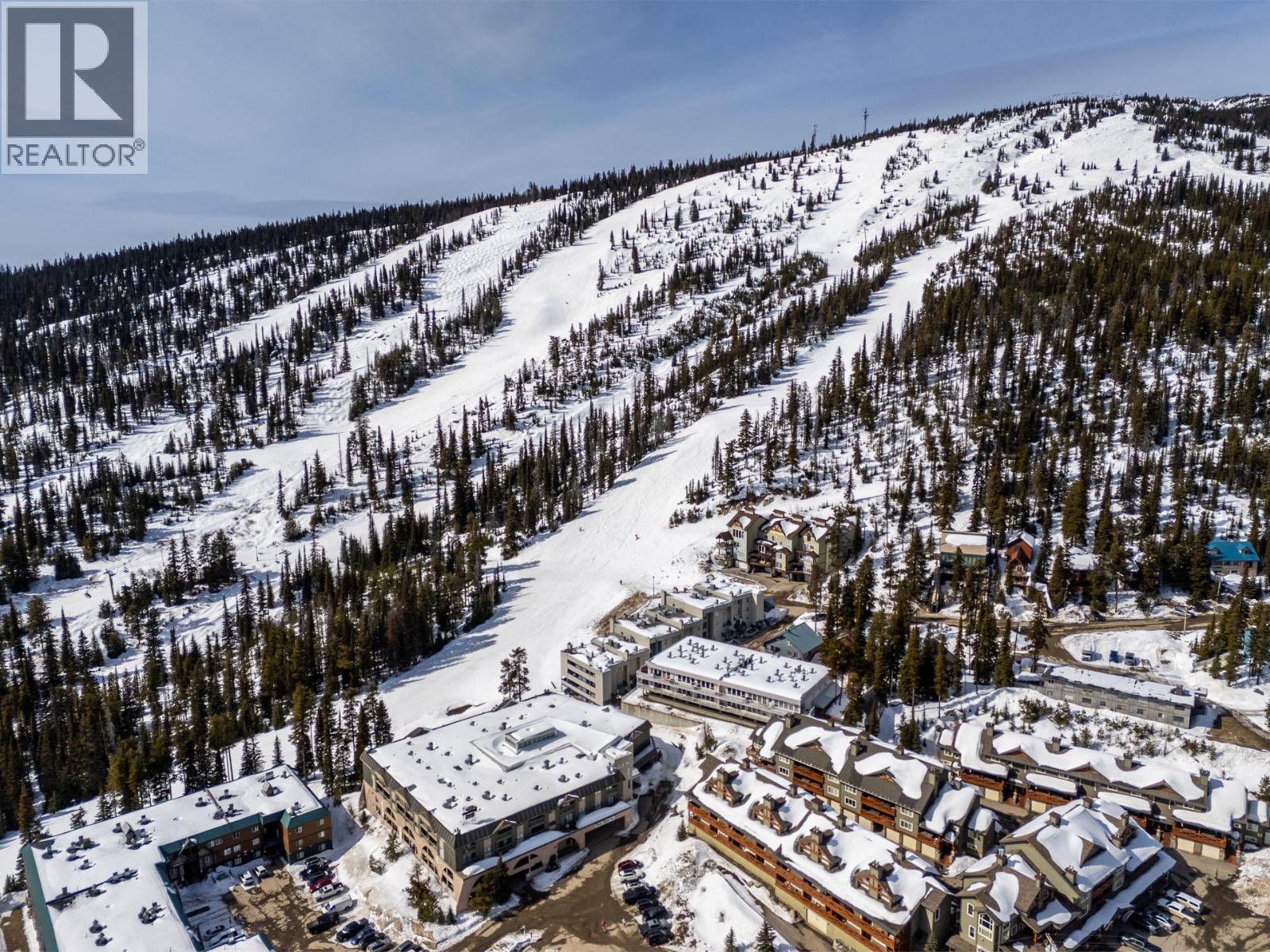 20 Kettle View Road Unit# 315, Big White