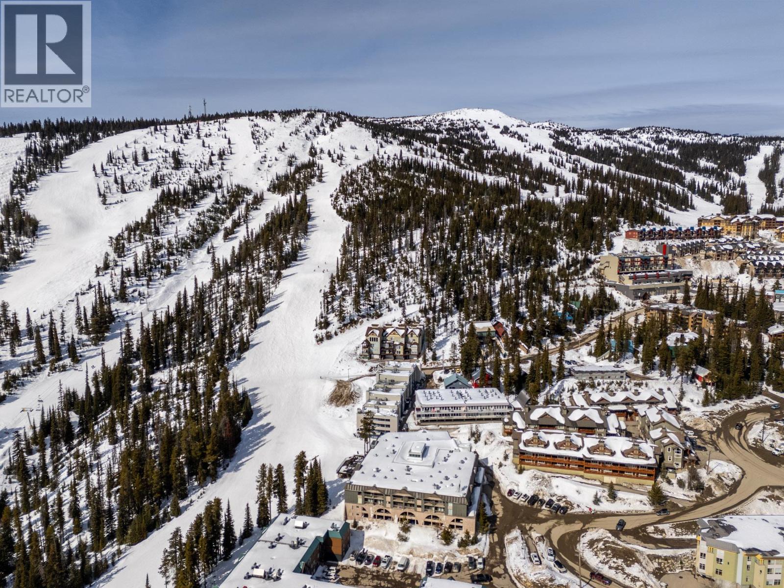 20 Kettle View Road Unit# 315, Big White