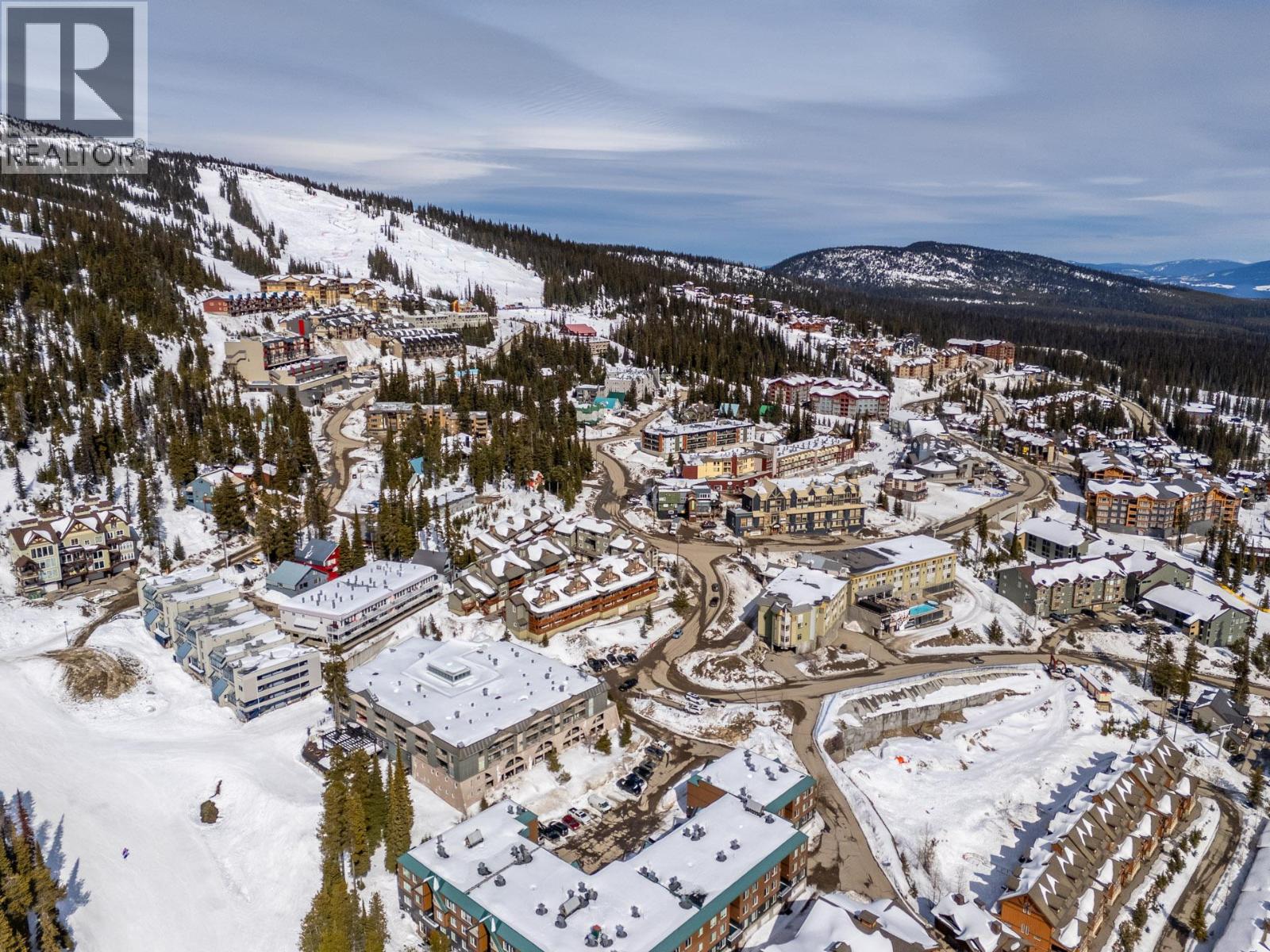 20 Kettle View Road Unit# 315, Big White