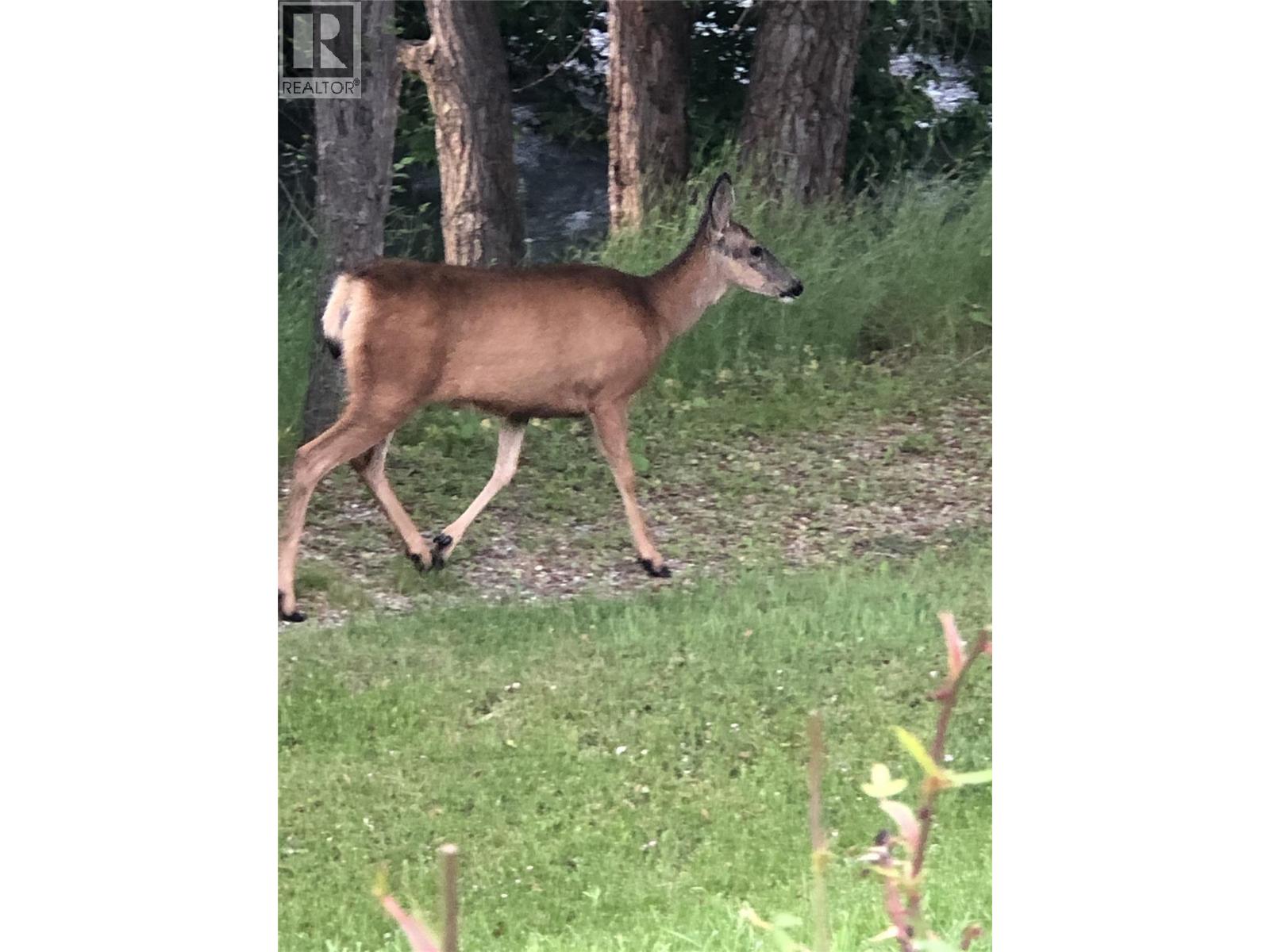 5805 Tern Place Unit# 109, Vernon