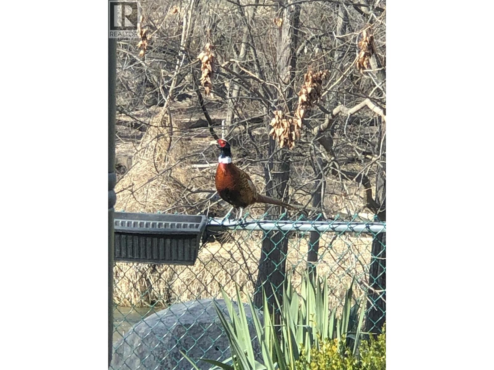 5805 Tern Place Unit# 109, Vernon