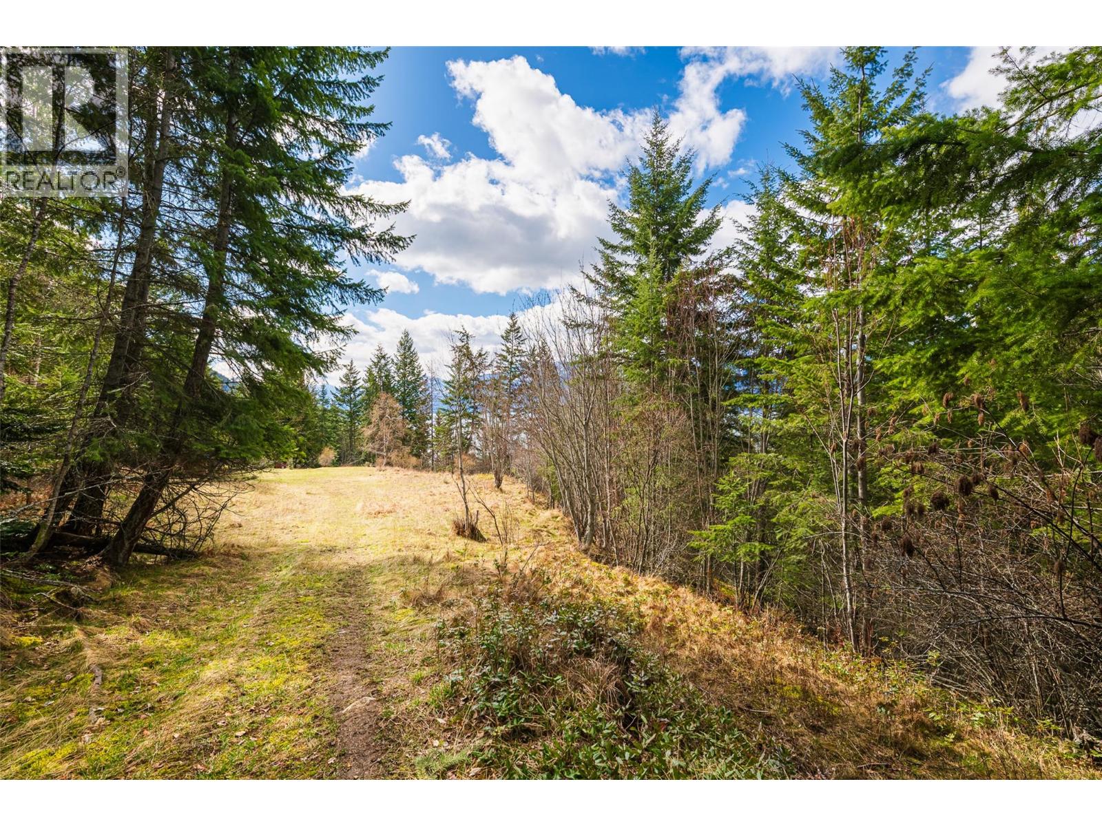 13625 & 13631 Mountain Shores Road, Boswell