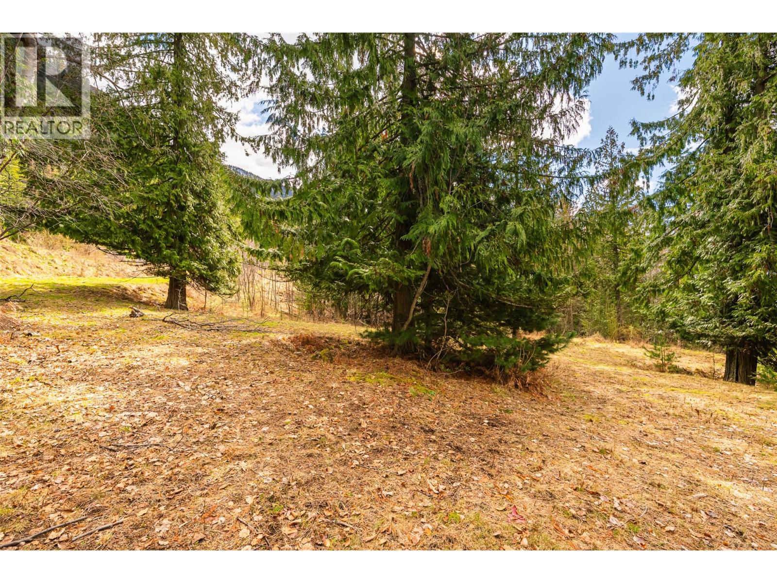 13625 & 13631 Mountain Shores Road, Boswell