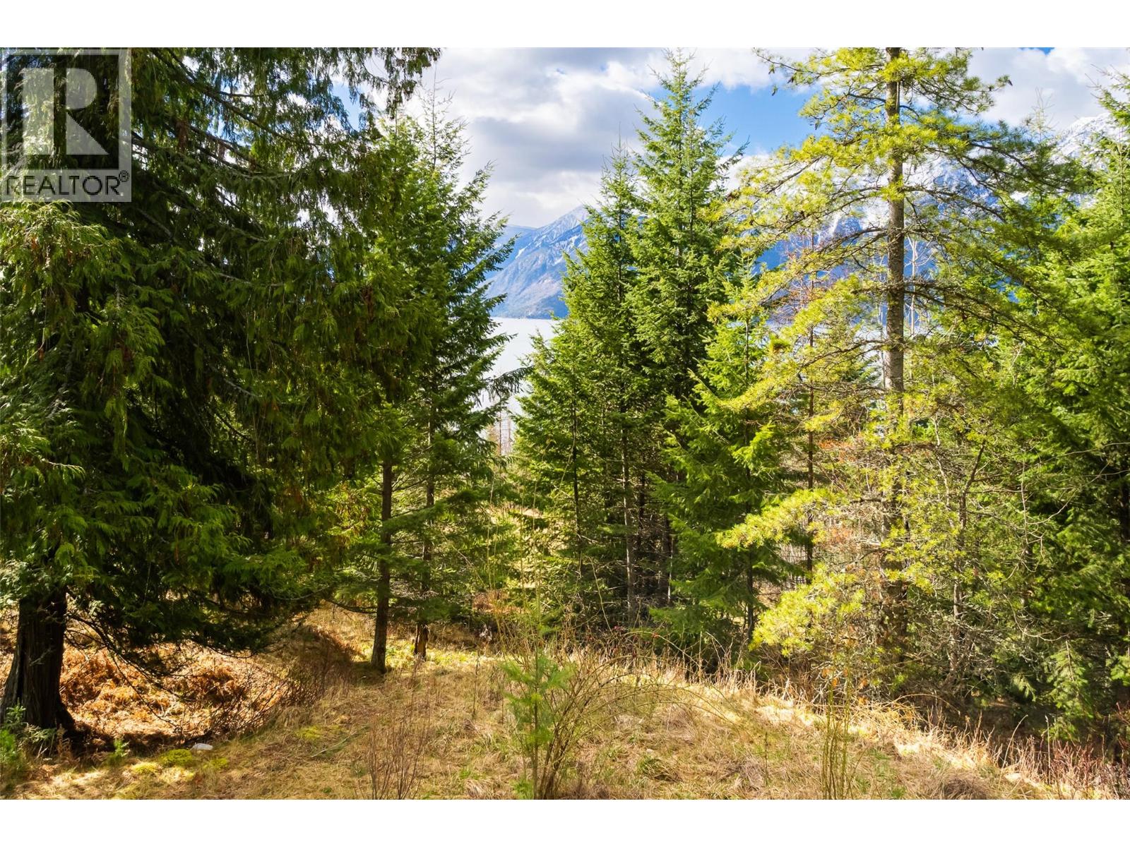 13625 & 13631 Mountain Shores Road, Boswell