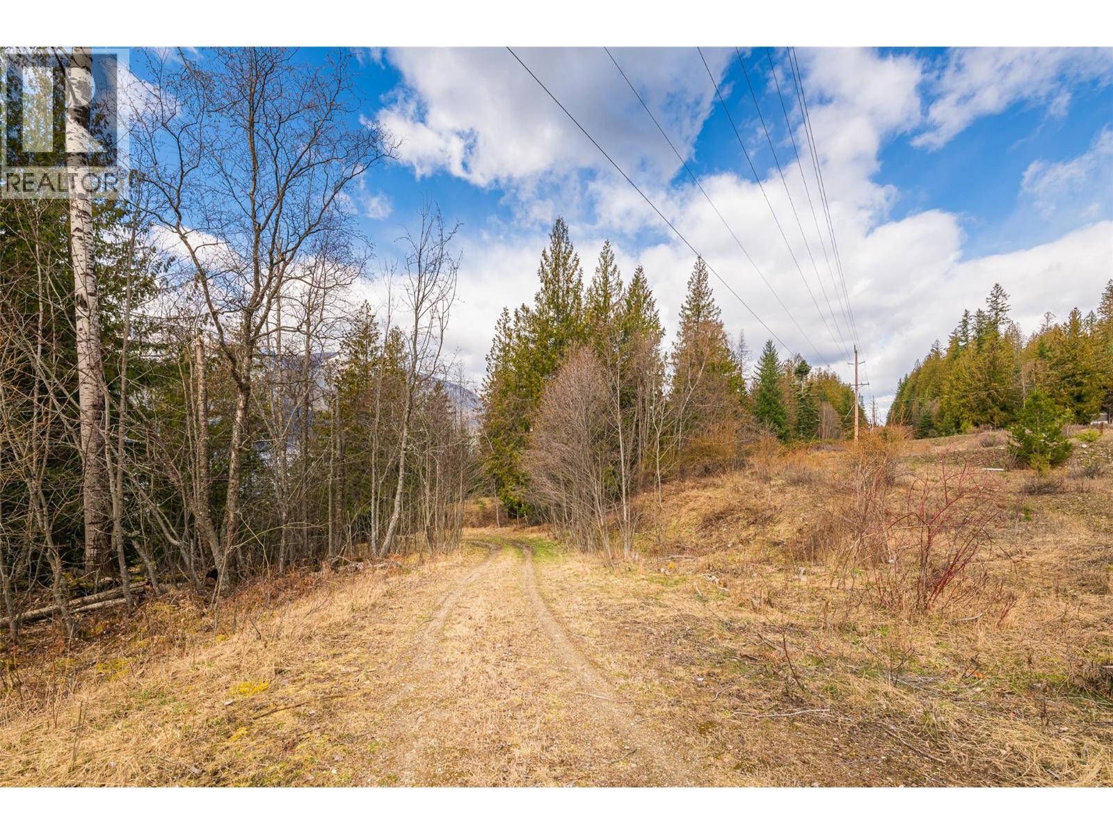 13625 & 13631 Mountain Shores Road, Boswell