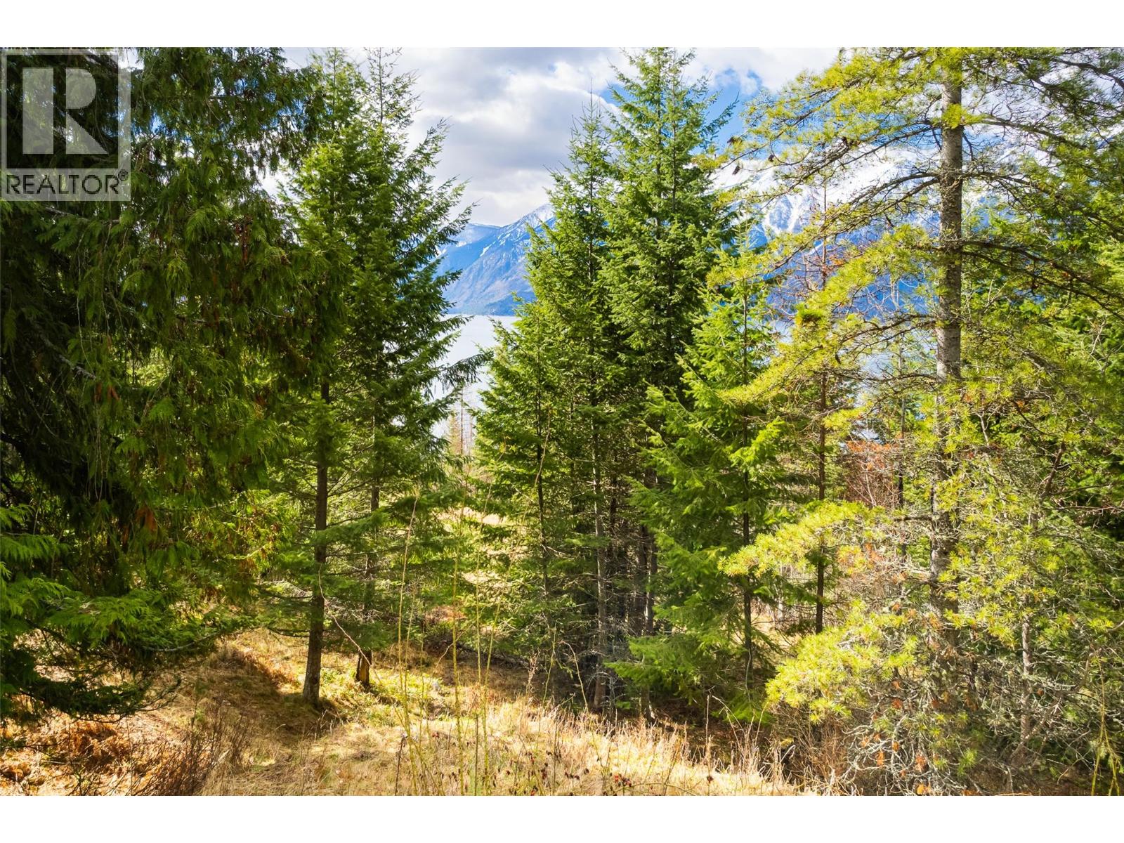 13625 & 13631 Mountain Shores Road, Boswell