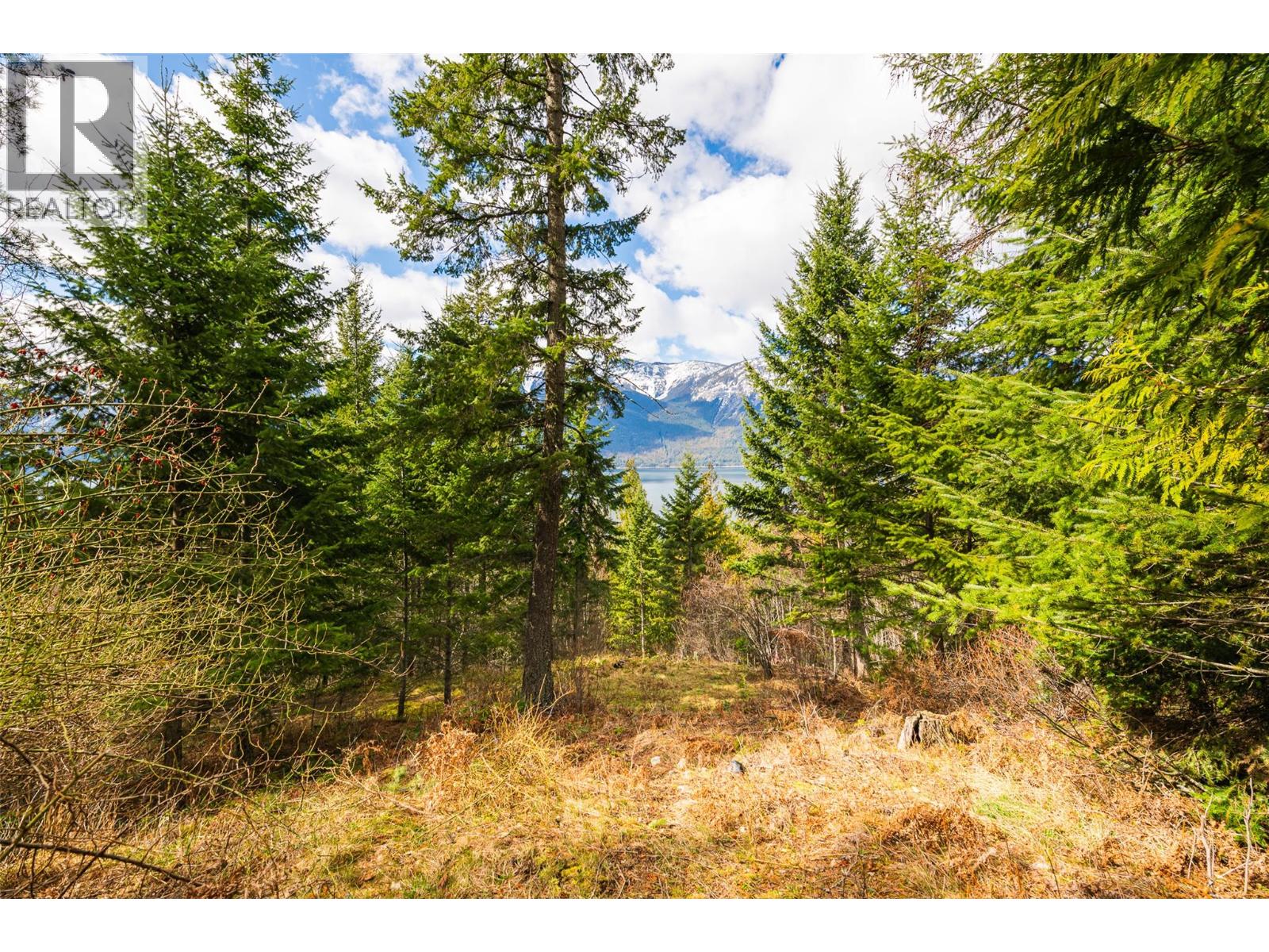 13625 & 13631 Mountain Shores Road, Boswell