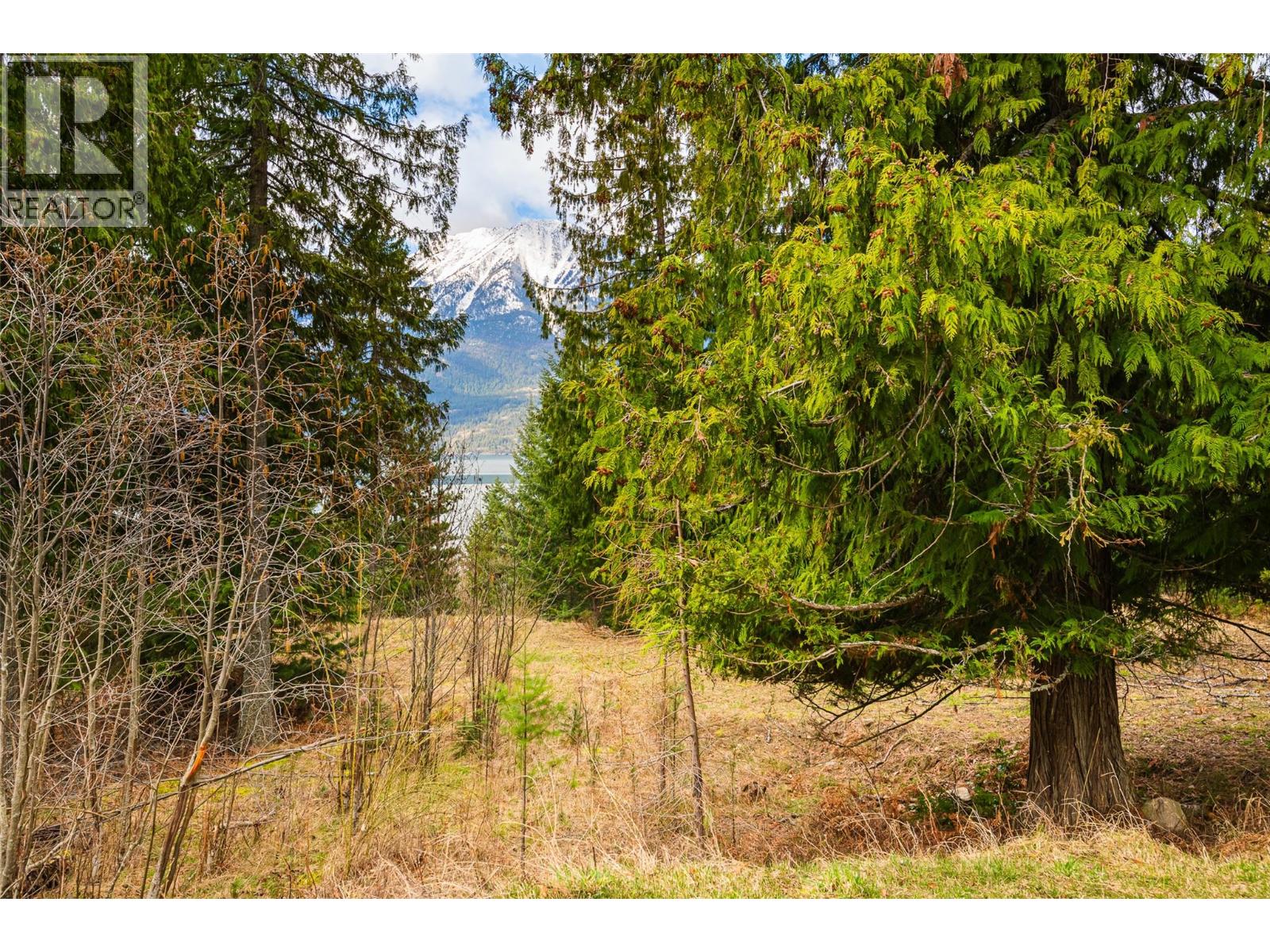 13625 & 13631 Mountain Shores Road, Boswell