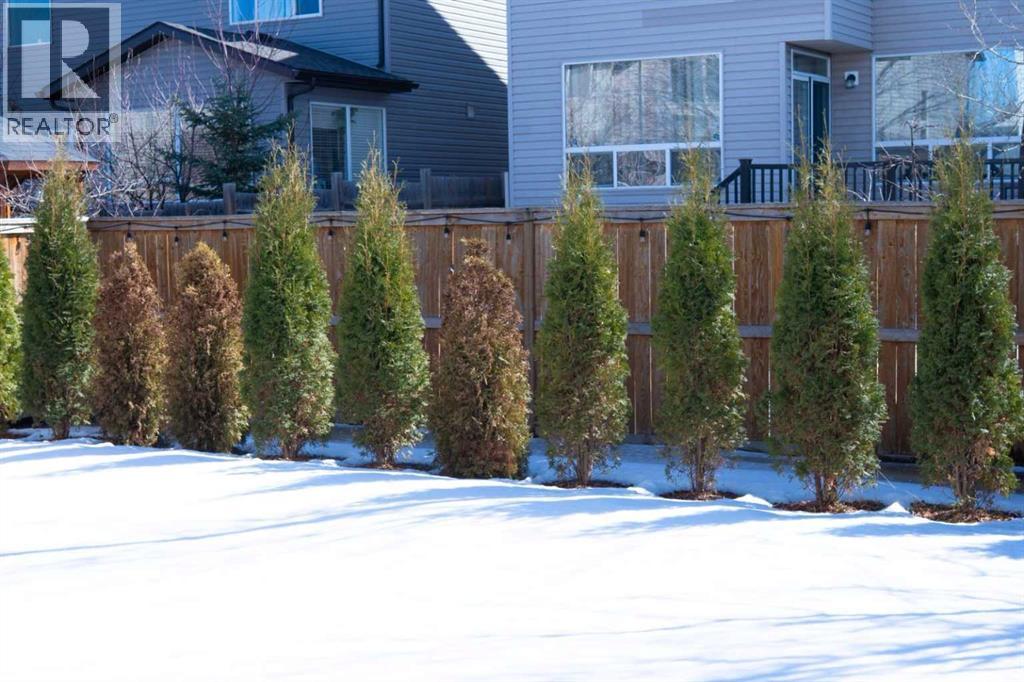 Single Family House for Sale in  Chapalina Terrace SE Chaparral Calgary 