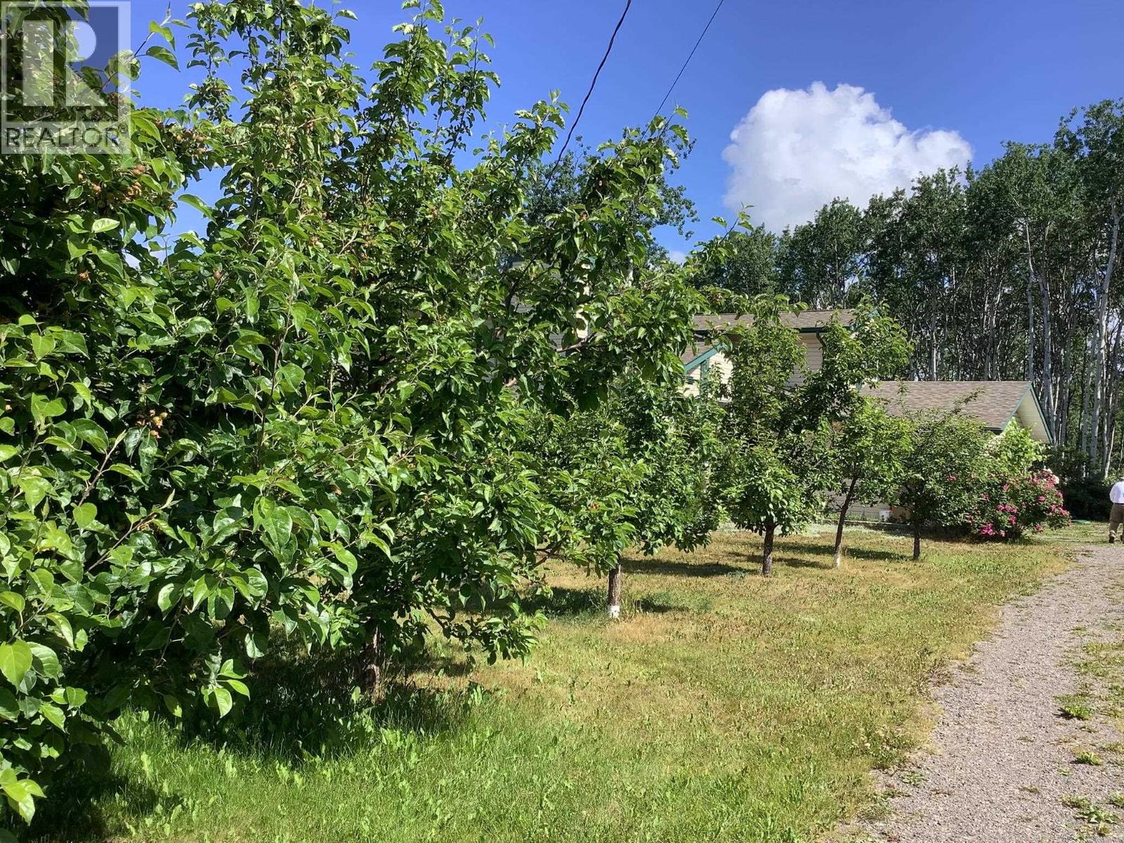 9312 BLUFF ROAD, Telkwa