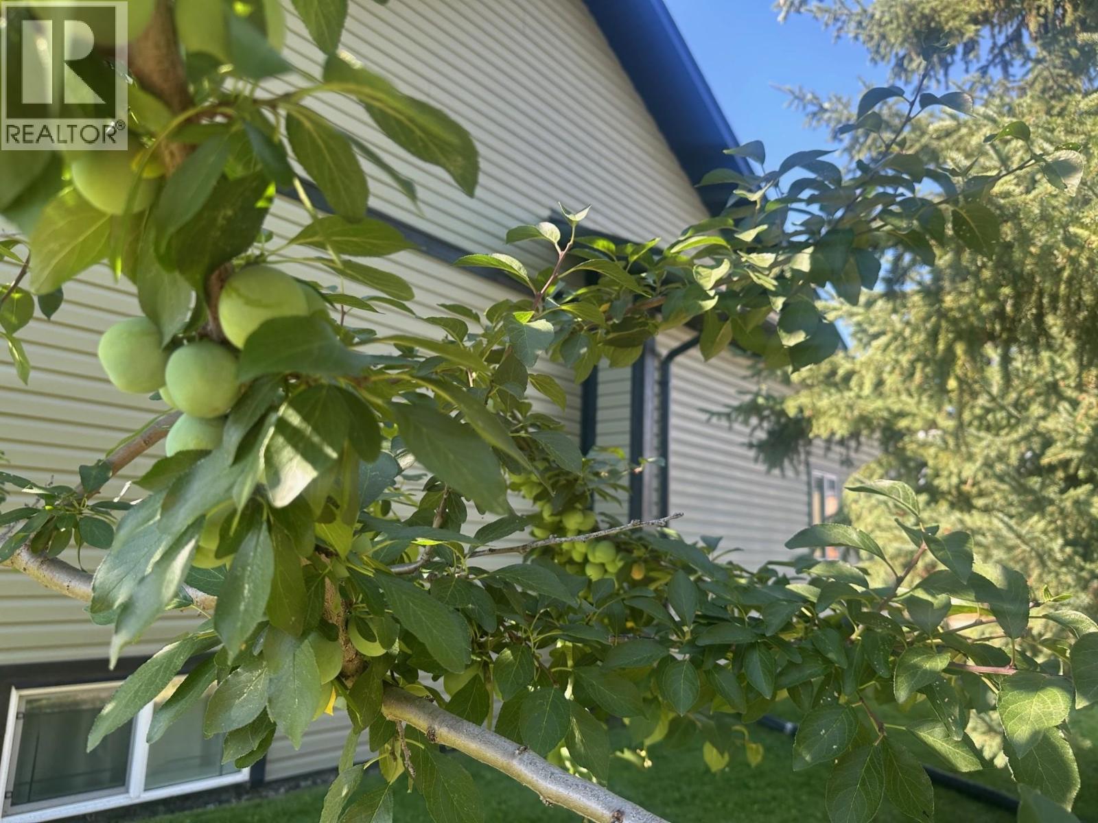 271 OMINECA STREET, Vanderhoof