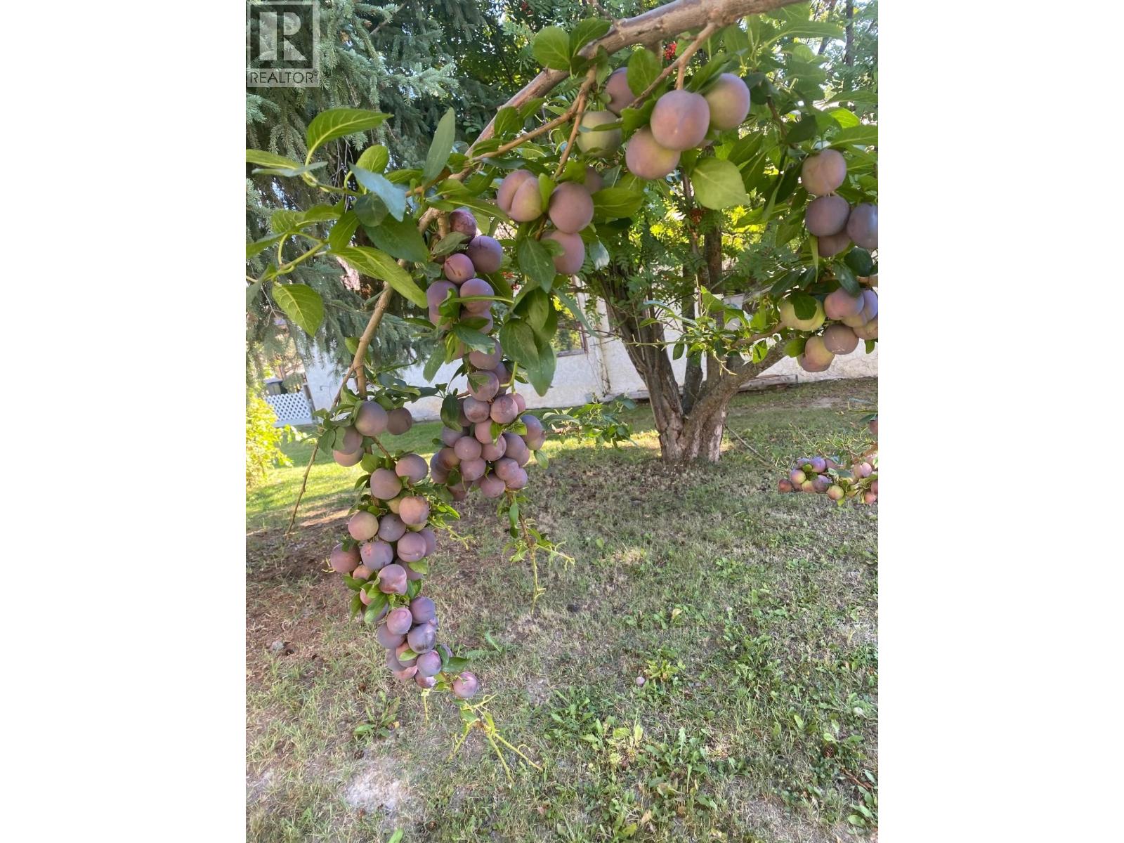 271 OMINECA STREET, Vanderhoof