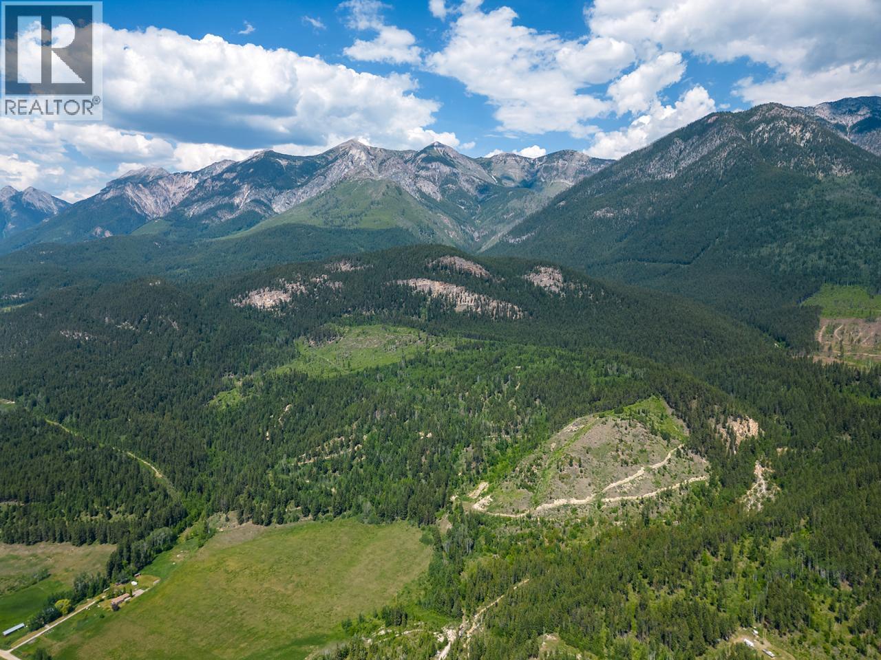 0000 BEN HYNES Loop, Golden