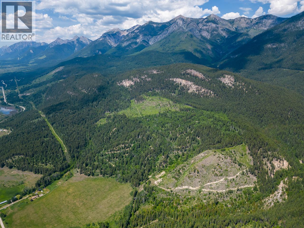 0000 BEN HYNES Loop, Golden