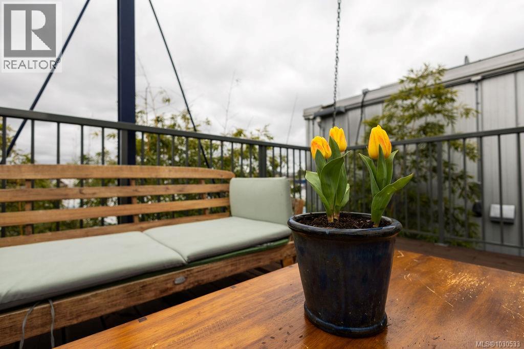  3112 Steele Street, Victoria