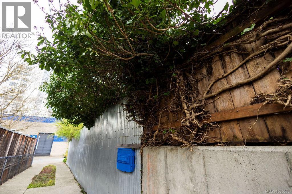  3112 Steele Street, Victoria