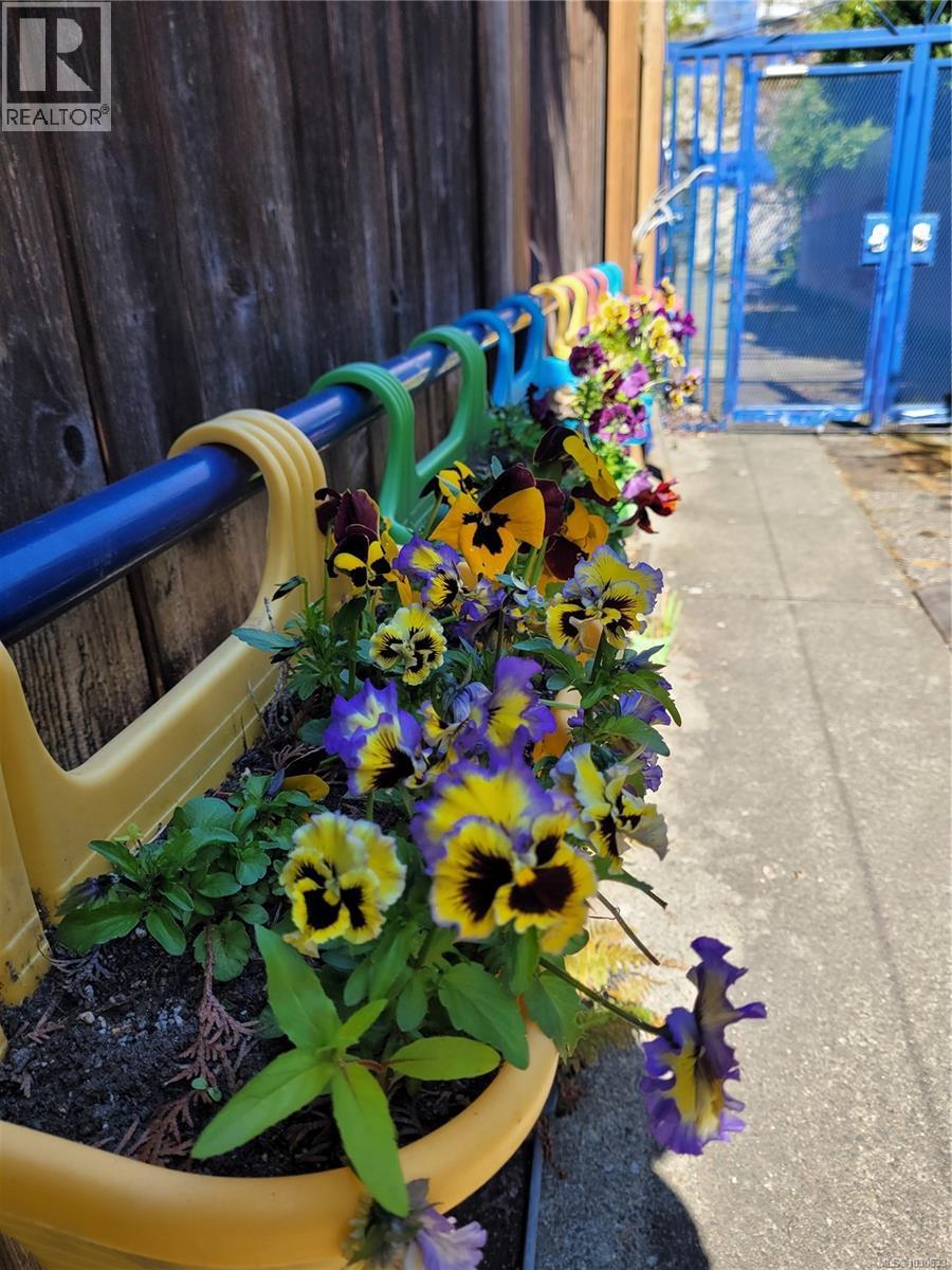  3112 Steele Street, Victoria