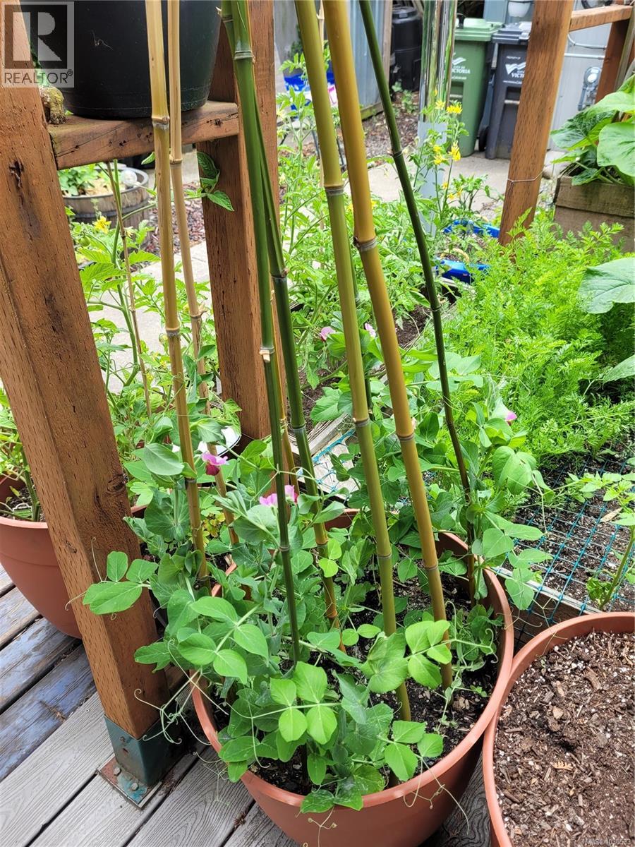  3112 Steele Street, Victoria