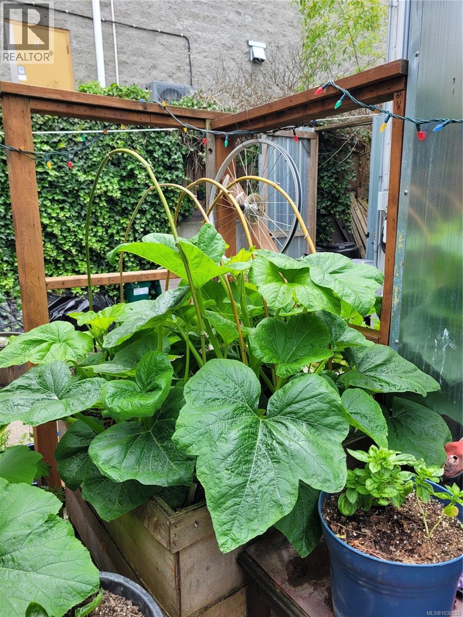  3112 Steele Street, Victoria