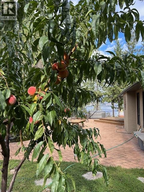 5715 LAKESHORE ROAD - 53