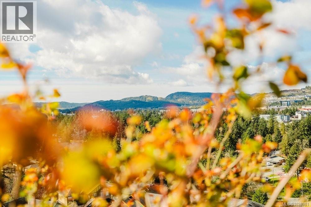 2532 LEGACY RIDGE - 52