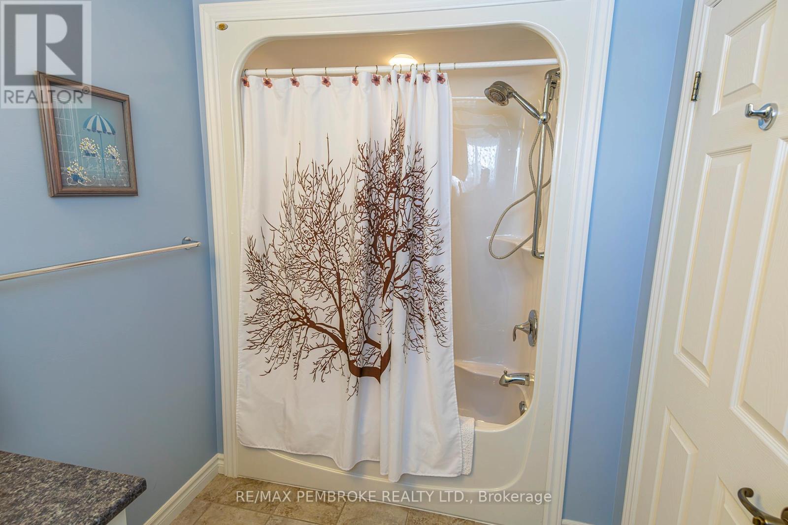lower level bathroom