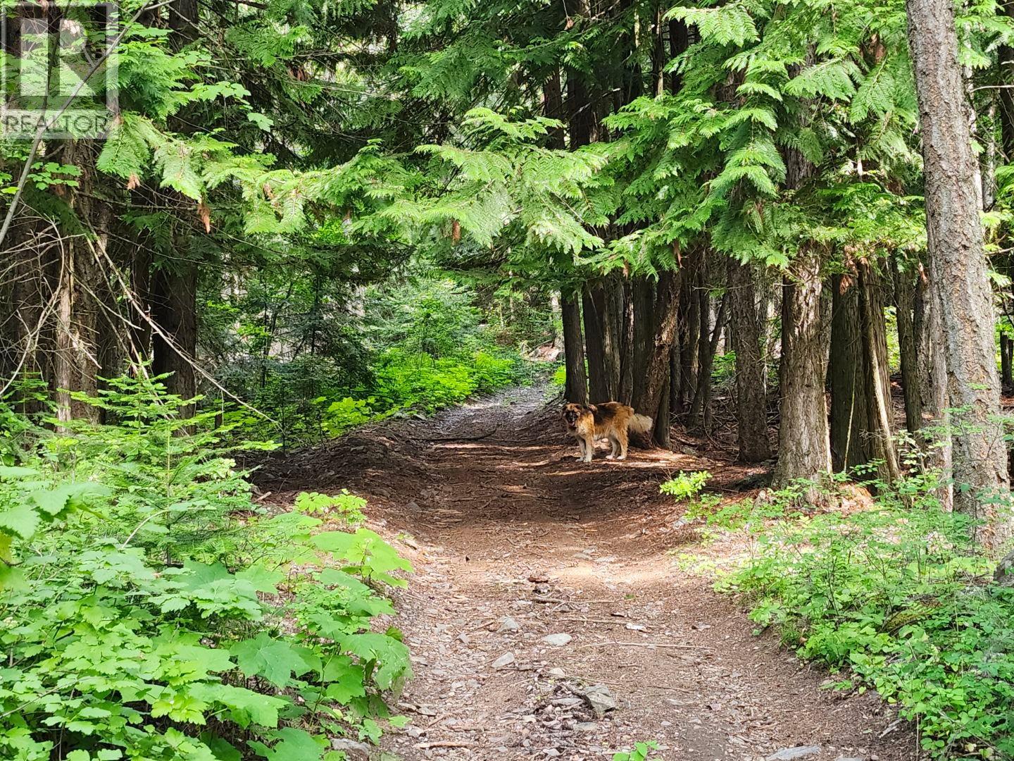 1137 36th Avenue N, Creston