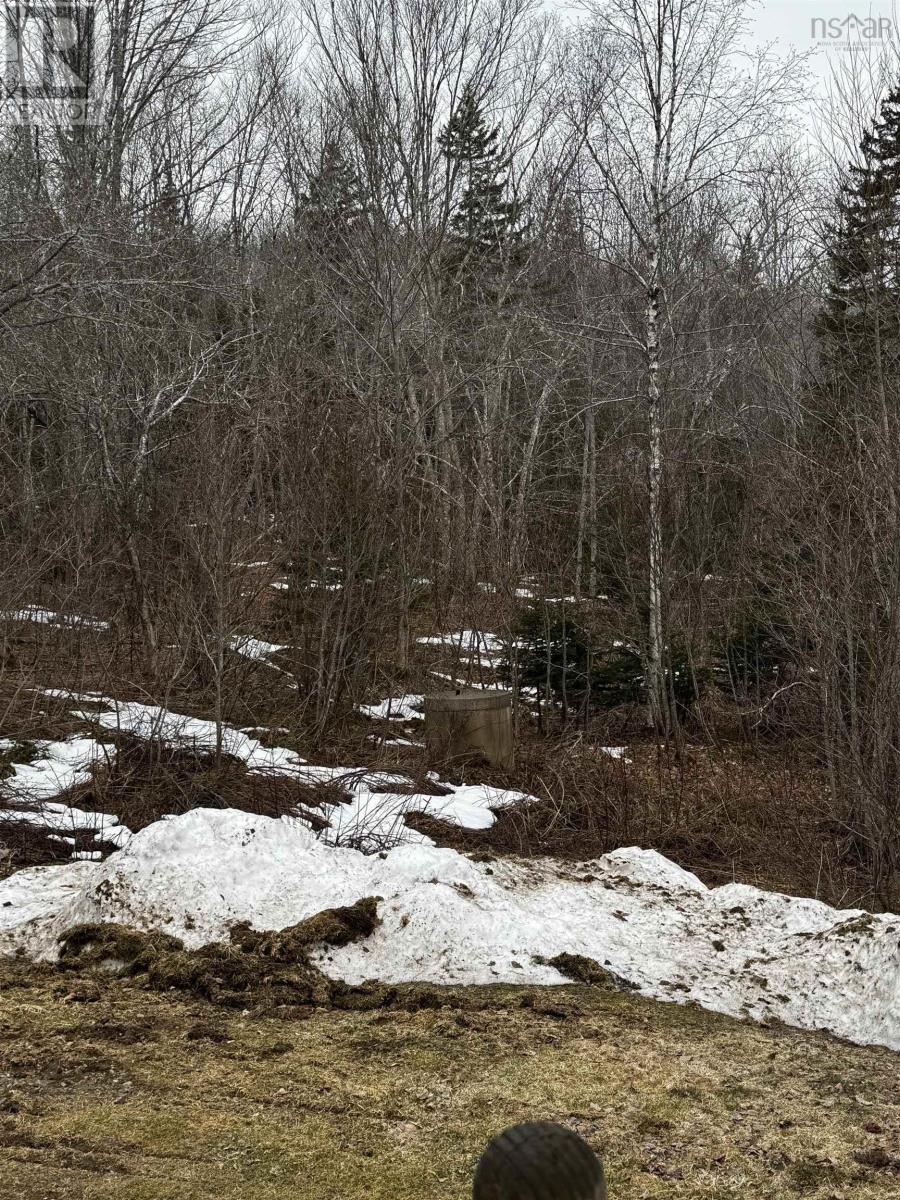 Property 14 of 29 of 4136 Antigonish Guysborough Road