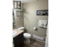 3 1250 Aaro Avenue, Elbow, SK S0H1J0 Photo 16