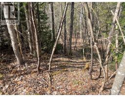 Lot 23-1 And Lot 23-2 Alden Warmen Road, Bass River, NB E4T1A9 Photo 11