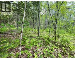 Lot 23-1 And Lot 23-2 Alden Warmen Road, Bass River, NB E4T1A9 Photo 12