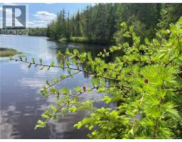 Lot 23-1 And Lot 23-2 Alden Warmen Road, Bass River, NB E4T1A9 Photo 14