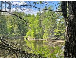 Lot 23-1 And Lot 23-2 Alden Warmen Road, Bass River, NB E4T1A9 Photo 15