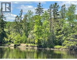 Lot 23-1 And Lot 23-2 Alden Warmen Road, Bass River, NB E4T1A9 Photo 17