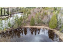Lot 23-1 And Lot 23-2 Alden Warmen Road, Bass River, NB E4T1A9 Photo 28