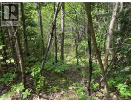 Lot 23-1 And Lot 23-2 Alden Warmen Road, Bass River, NB E4T1A9 Photo 33