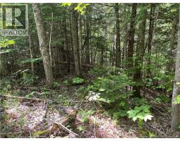 Lot 23-1 And Lot 23-2 Alden Warmen Road, Bass River, NB E4T1A9 Photo 34