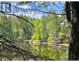 Lot 23-1 And Lot 23-2 Alden Warmen Road, Bass River, NB E4T1A9 Photo 36