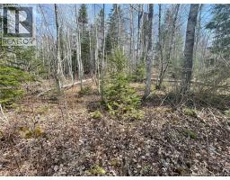 Lot 23-1 And Lot 23-2 Alden Warmen Road, Bass River, NB E4T1A9 Photo 6