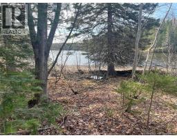 Lot 23-1 And Lot 23-2 Alden Warmen Road, Bass River, NB E4T1A9 Photo 7