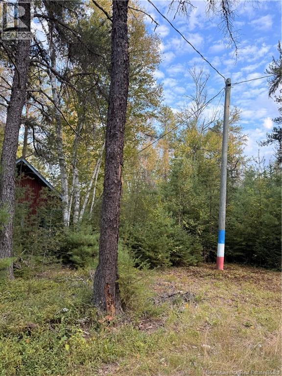 Camp L'Eglise Road - 5