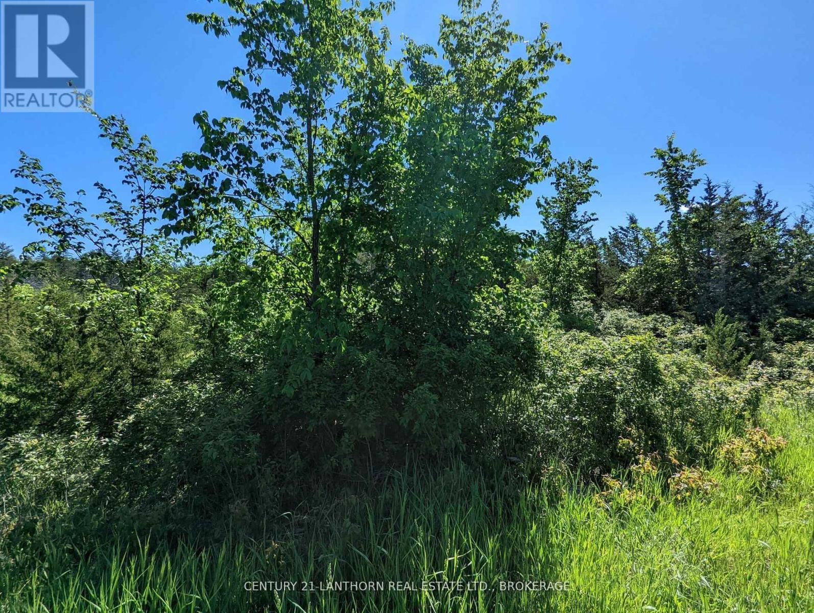 0 PINE GROVE ROAD, Greater Napanee (Greater Napanee), Ontario