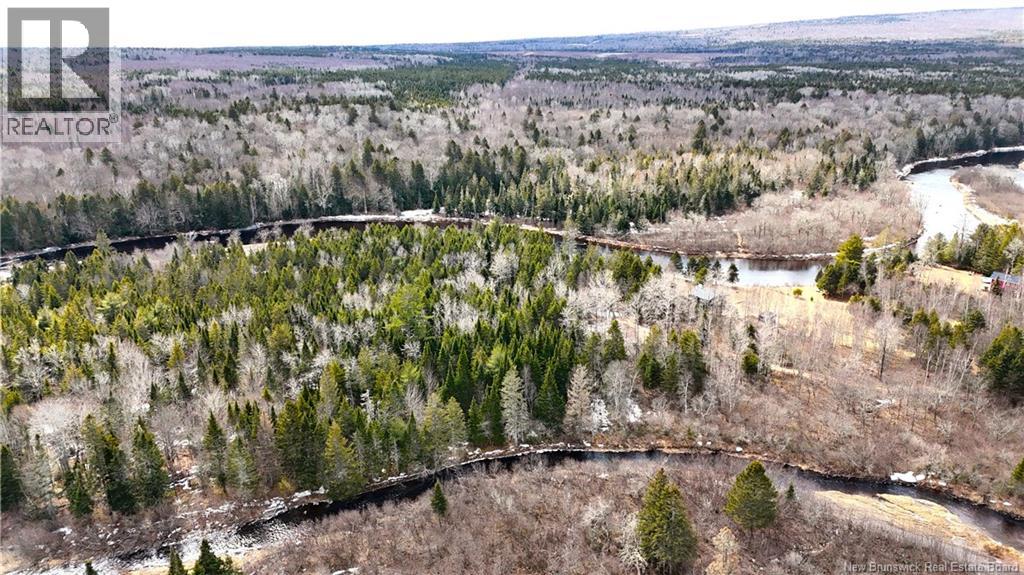 58 Dufour Road - 46