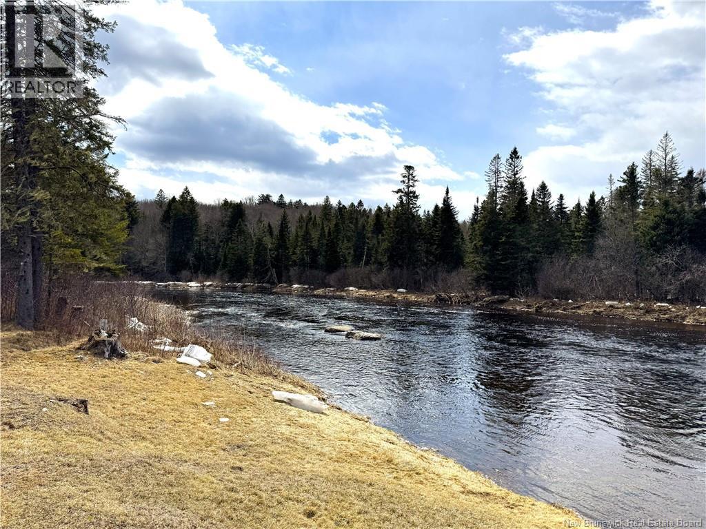 58 Dufour Road - 6