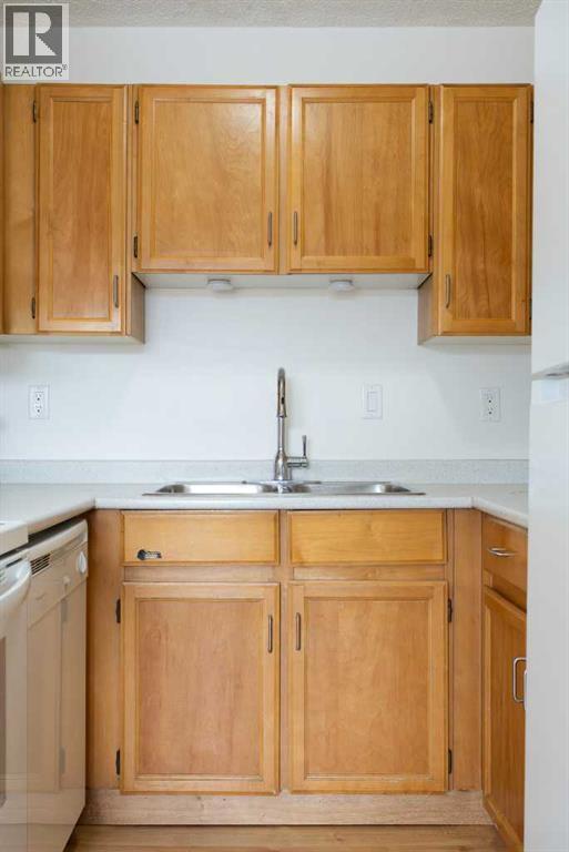 Single Family House for Sale in   Grier Avenue NE Greenview Calgary 